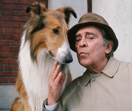 Умер Джек Аксельрод, актер из сериалов «Клиника» и «Офис»