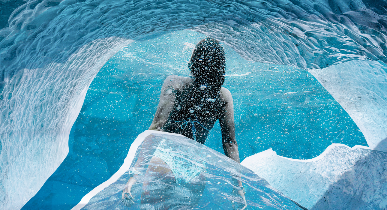Walruses: 5 personal stories of people diving into icy water