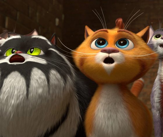 Найден кот, который мурлычет, как Эдит Пиаф. Смотри видео