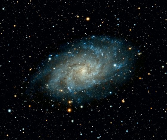 Гороскоп на 29 января 2024 года: амбиции и любовь к себе