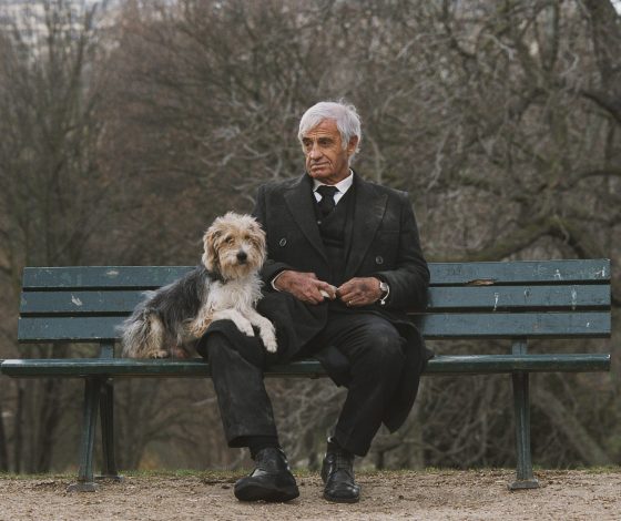 Пес-долгожитель попал в Книгу рекордов России. Он живет в Москве