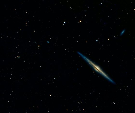 Гороскоп на 22 января 2024 года: мечтай и страдай