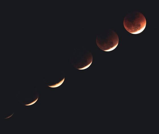 Гороскоп на 17 января 2024 года: мир, дружба, жвачка