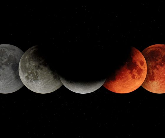 Гороскоп на 26 февраля 2024 года: эйфория у нас дома