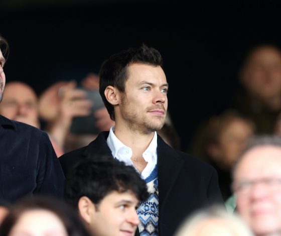 Фильм по фанфику о Гарри Стайлсе стал самым ожидаемым в этом году