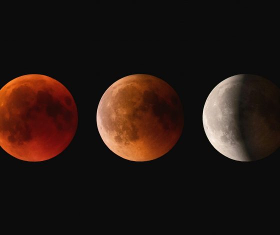 Гороскоп на 17 февраля 2024 года: не ругайся и не пей алкоголь