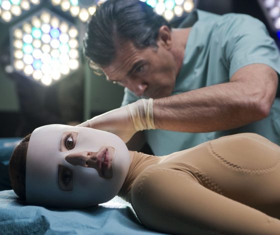 Девушка сделала шесть пластических операций за один день. Как она стала выглядеть