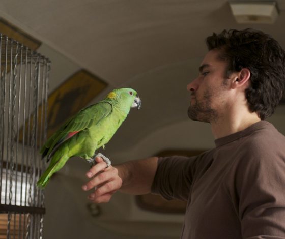 Говорящий попугай стал талисманом пожарной части