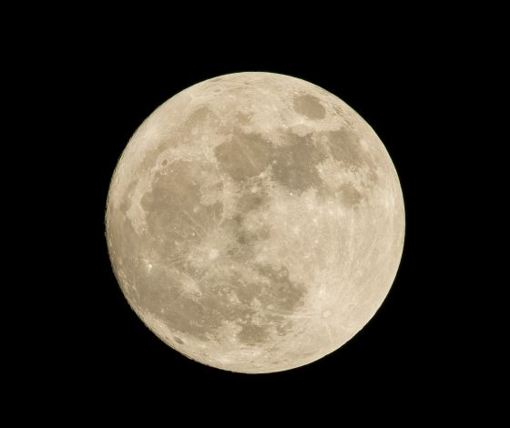 Гороскоп на 19 февраля 2024 года: бизнес после шести