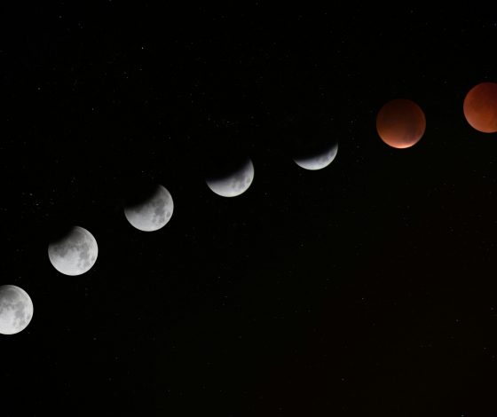 Гороскоп на 16 февраля 2024 года: ничего не понятно, но очень интересно