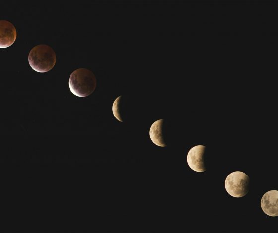 Гороскоп на 11 февраля 2024 года: неужели гармония