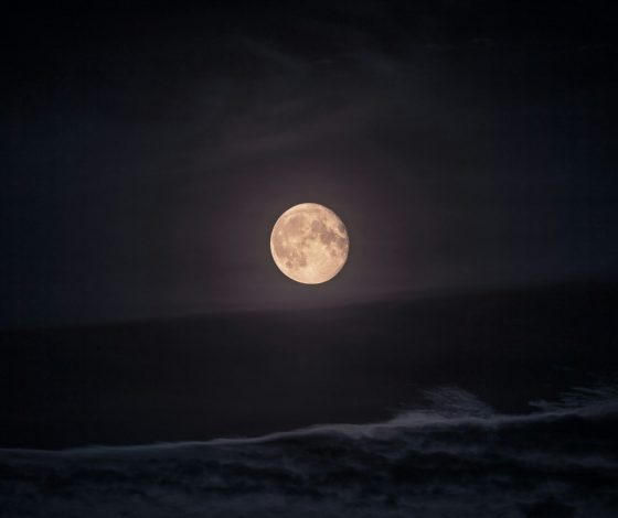 Гороскоп на 20 февраля 2024 года: спокойный вторник