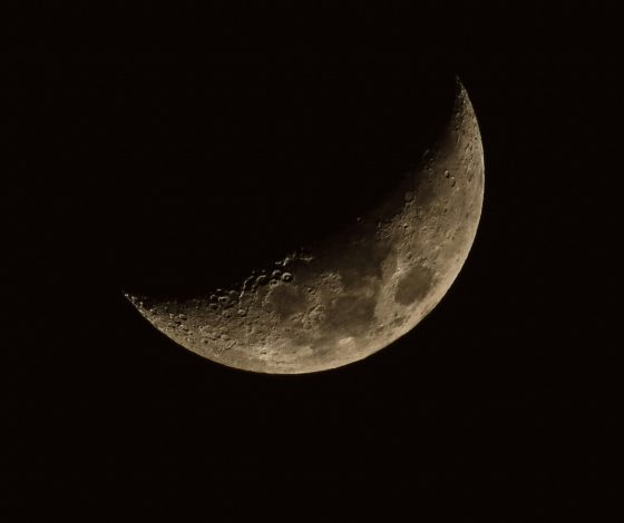 Гороскоп на 15 февраля 2024 года: с днем дня