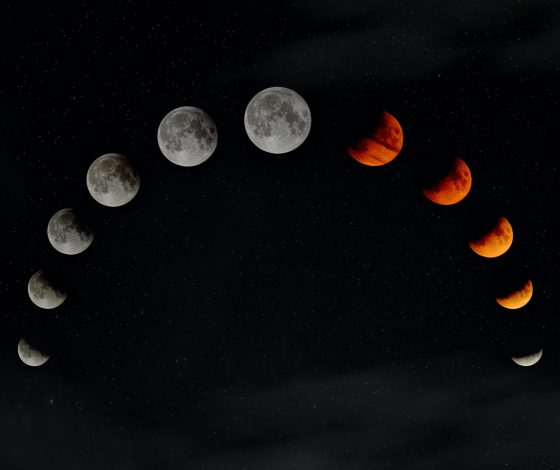 Гороскоп на 17 марта 2024 года: настрой на медитацию