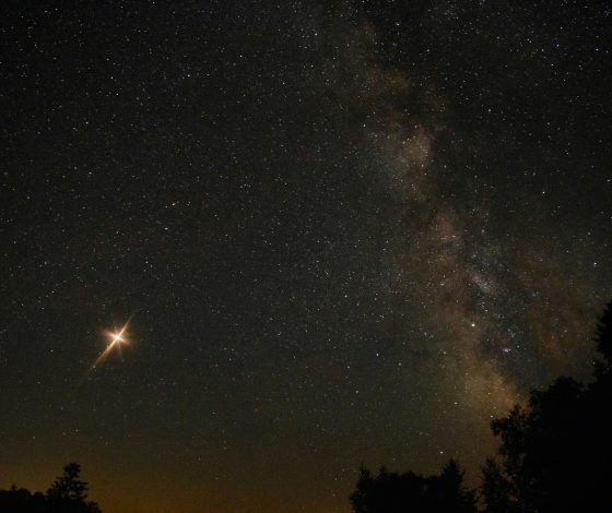 Гороскоп на 5 марта 2024 года: какой хороший день (без шуток)