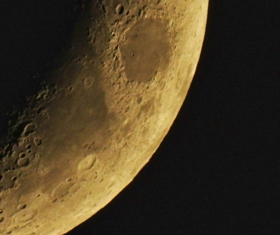 Гороскоп на 21 марта 2024 года: учимся и вибрируем