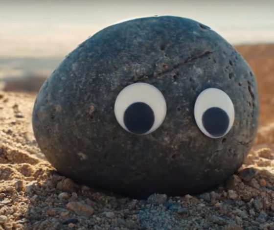 Камни в качестве домашних животных: в Корее нашли новый способ справиться со стрессом