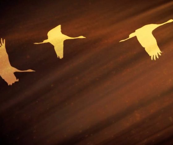 Группа «Пикник» устроила благотворительный концерт в Санкт-Петербурге в память о жертвах теракта в «Крокус Сити Холле»