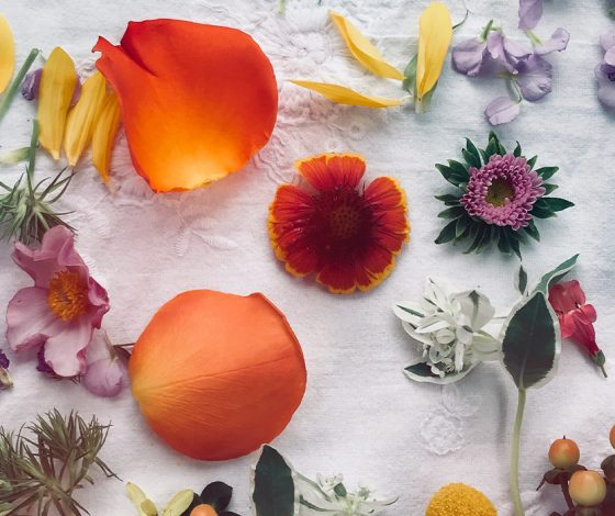 Что можно и нельзя делать в День весеннего равноденствия в 2024 – отвечает астролог