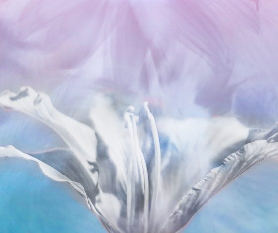 Тихая болезнь: что такое бесплодие и так ли необратим диагноз на самом деле?