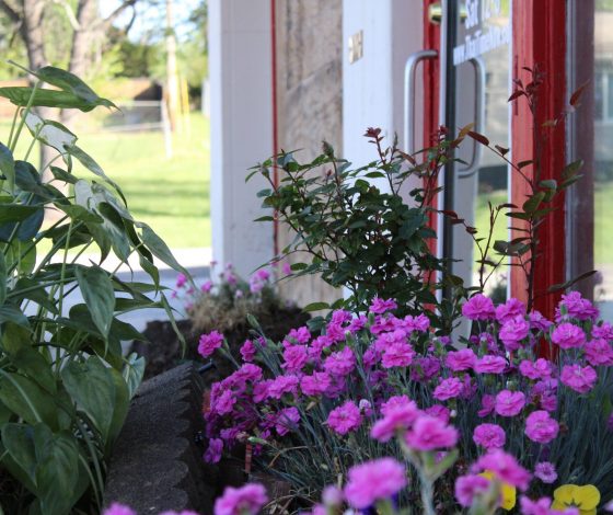 Ученые доказали, что поездки на дачу снижают риск депрессии