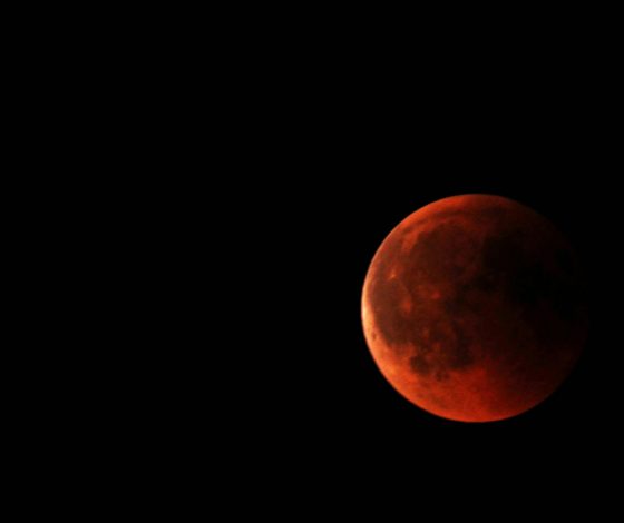 Гороскоп на 27 апреля 2024 года: рабочее настроение