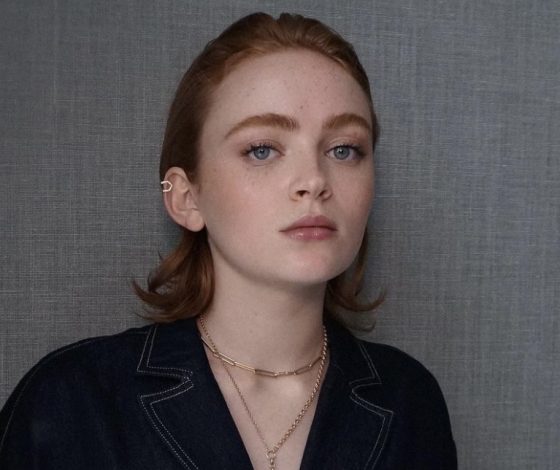 Сэди Синк поделилась неожиданной теорией о финале «Очень странных дел»