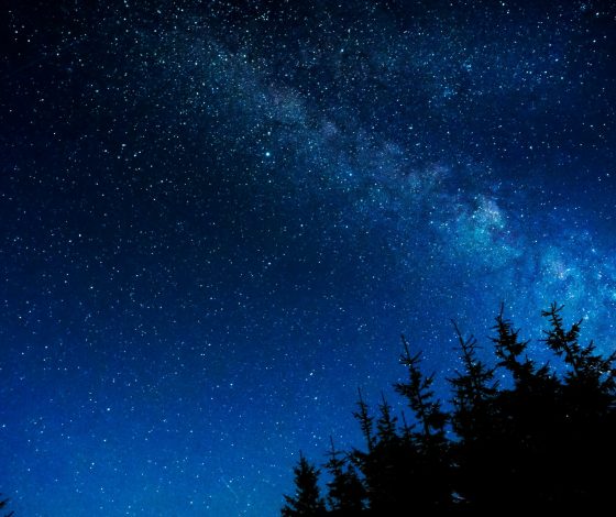 Гороскоп на 20 мая 2024 года: двуликое солнце