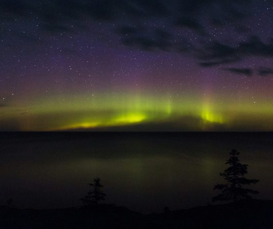 Гороскоп на 3 июня 2024 года: экономический форум