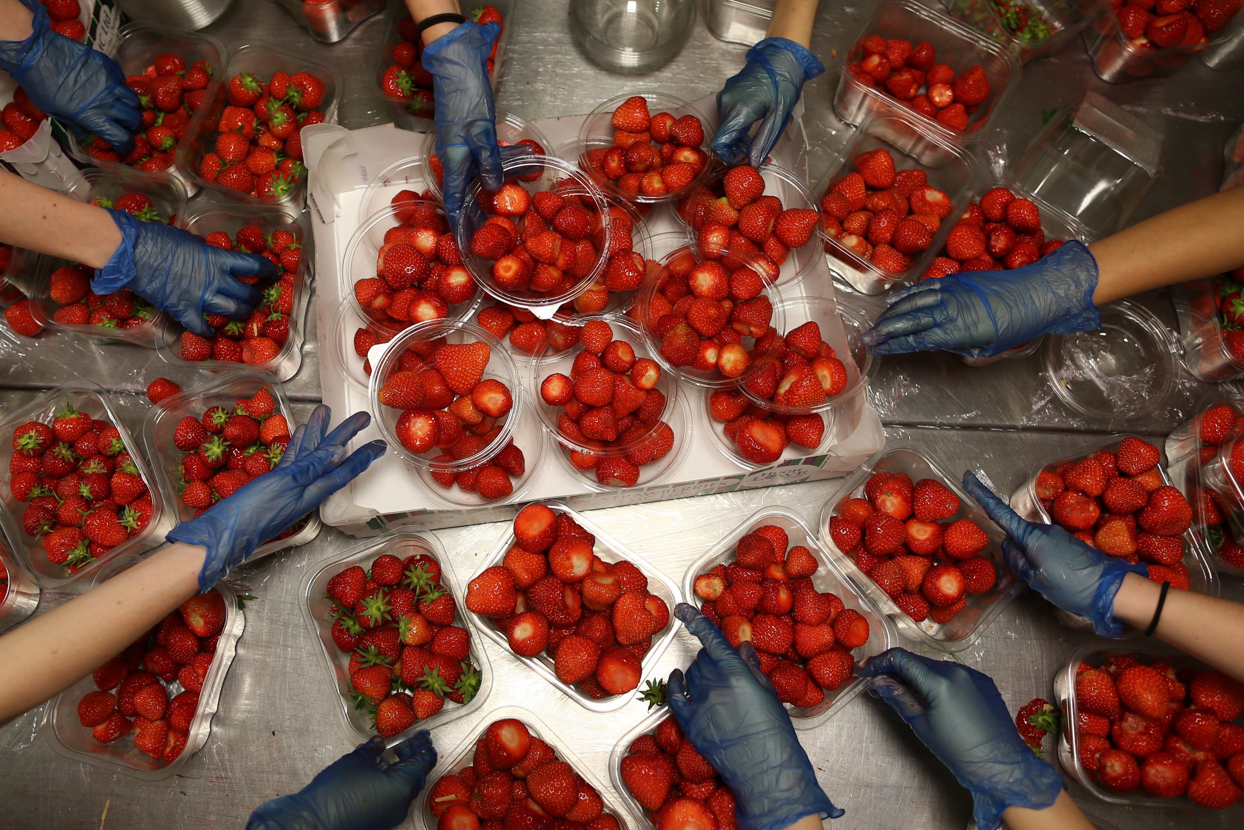 A nutritionist told how to choose the right, tasty and healthy strawberries