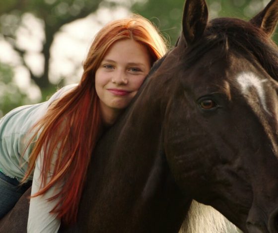 Видео дня: конь рисует картины с помощью морковки