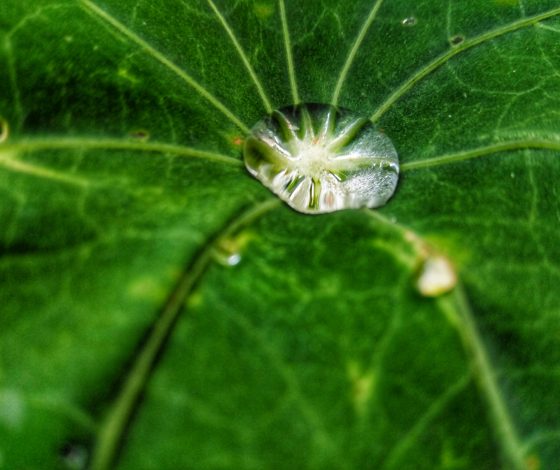 Прямо из воздуха: в Китае придумали новый способ добычи питьевой воды