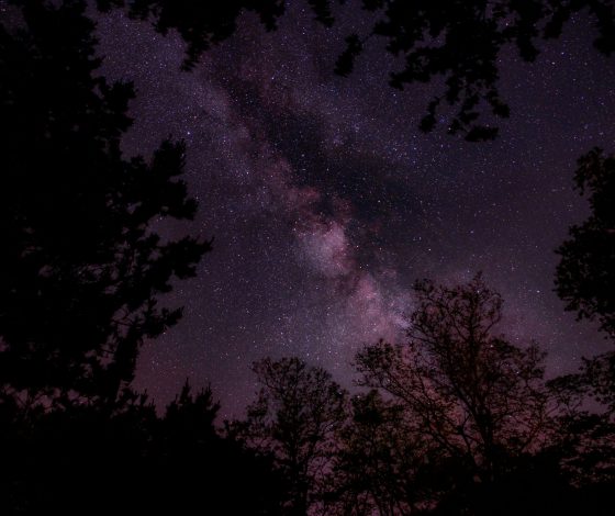 Гороскоп на 23 мая 2024 года: переходный возраст