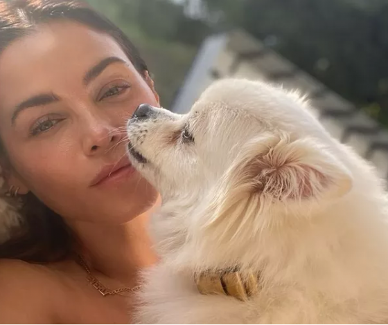 «Ты показала мне, что я могу стать матерью»: беременная Дженна Дуан оплакивает любимую собаку