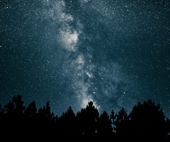 Гороскоп на 17 мая 2024 года: меланхоличный брак