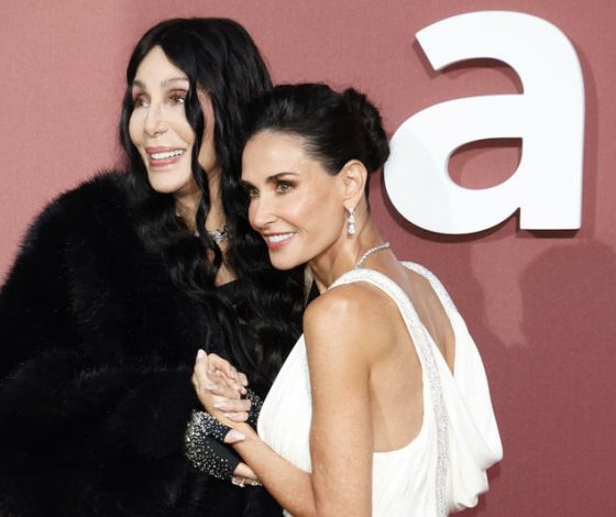 «Вы что, лауреат премии «Эмми»?»: Деми Мур вышла из себя из-за певицы Шер