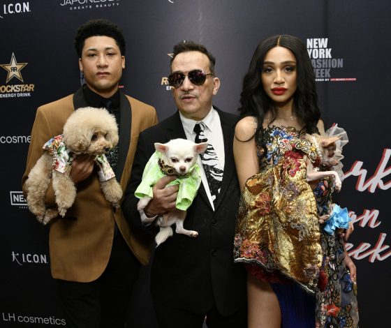 Pet Gala 2024: лучшие образы бала Института костюма повторят пушистые питомцы