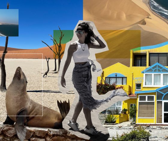 Реальные истории путешественников: как я съездила в Африку, где ночевала в пустыне и возненавидела морских котиков