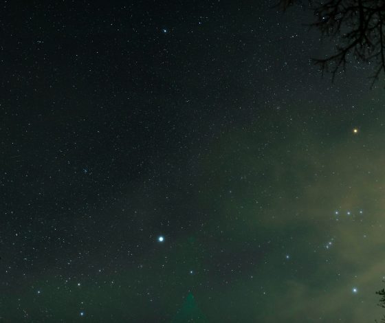 Гороскоп на 2 июня 2024 года: братство равенства