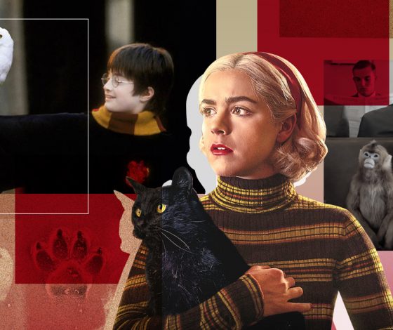 Как понять, что твой питомец – фамильяр?