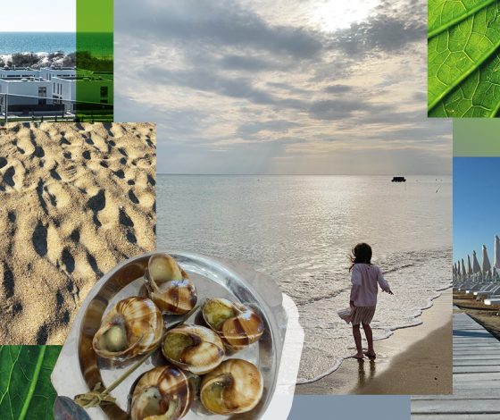 5 причин поехать в Анапу этим летом