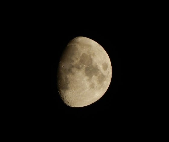 Гороскоп на 4 июня 2024 года: любовные приключения