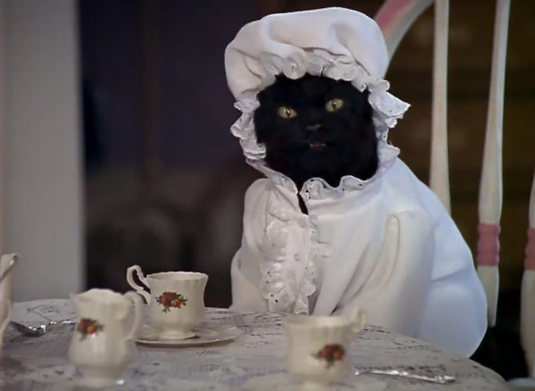 Mixed or British: TikTok compares girl breeds to cat breeds.  Find out which one you belong to