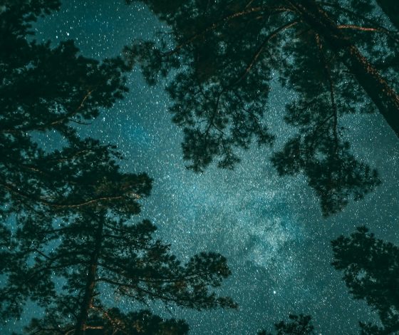 Гороскоп на 12 июня 2024 года: рабочий настрой?