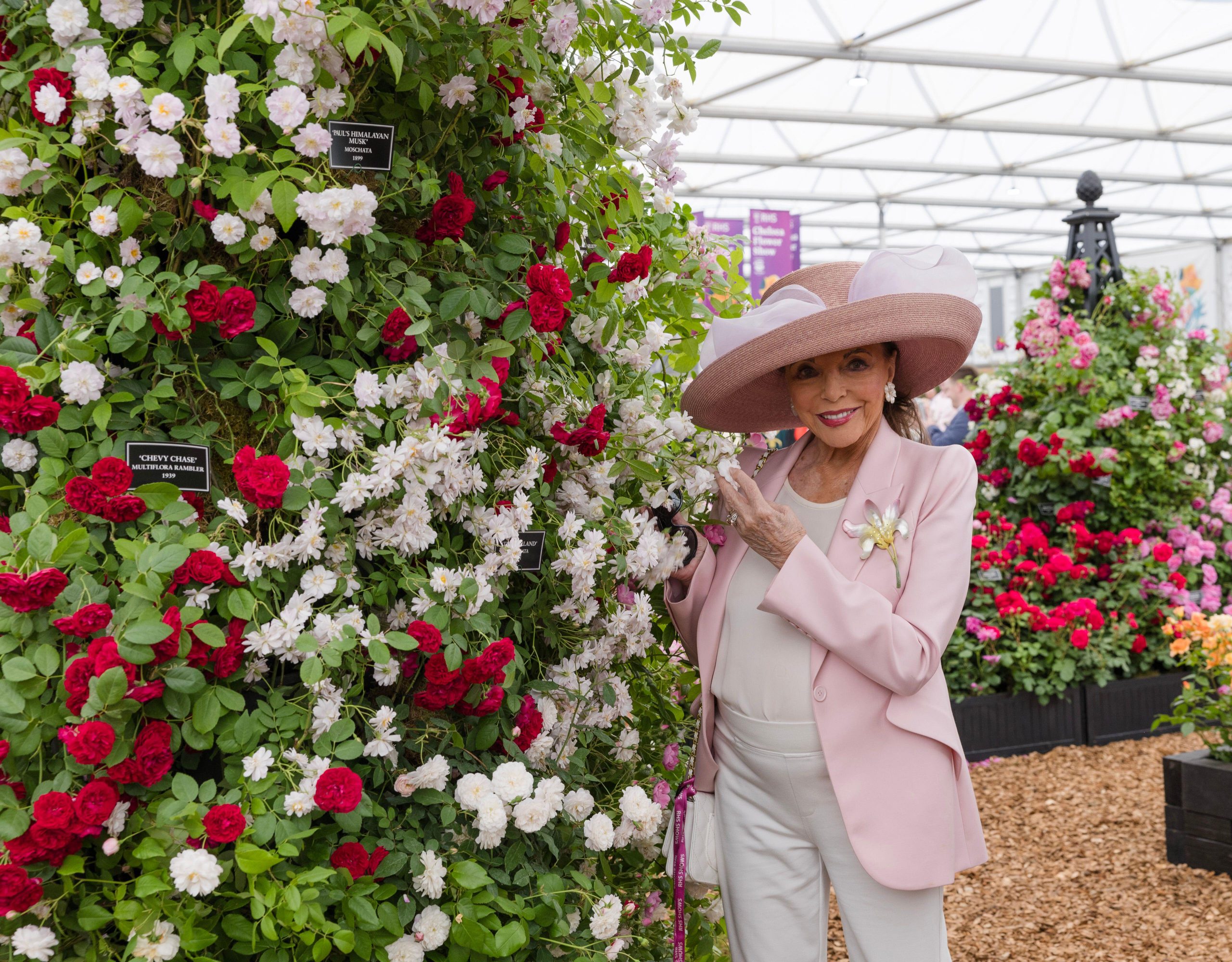 Joan Collins, 91, tells how she was helped to relax before orgy scene
