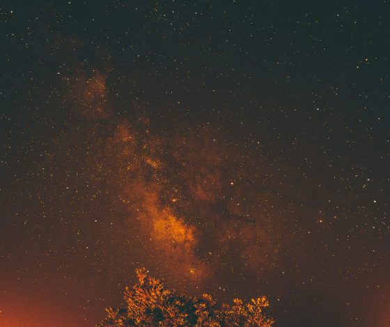 Гороскоп на 13 июня 2024 года: ни денег, ни советов