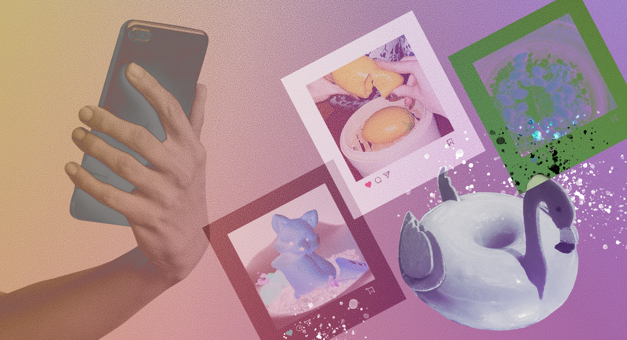 Wait, I haven’t taken any pictures yet: pink flamingos and foxes