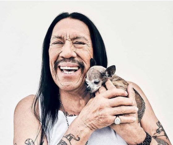 Дэнни Трехо со слезами попрощался с любимой чихуахуа