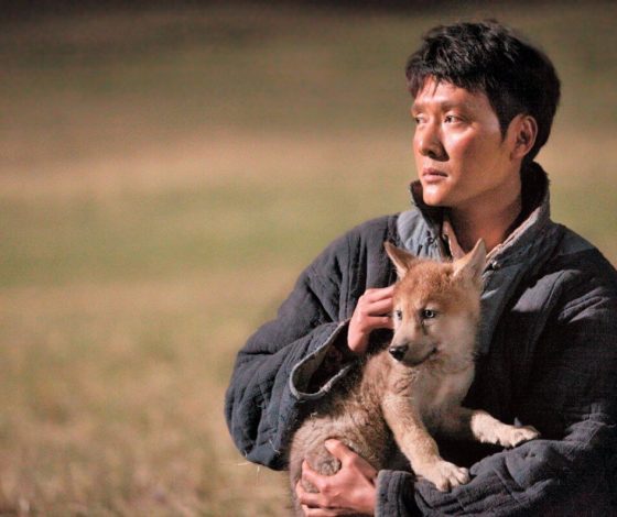 Что за волк этот тигр? В Сети пытаются распознать животное на завирусившемся видео