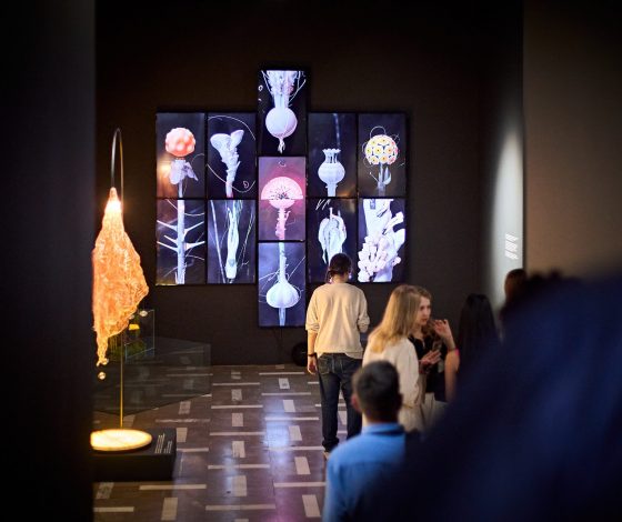 Фестиваль цифрового искусства «Час цифры». Не упусти свой шанс подать заявку